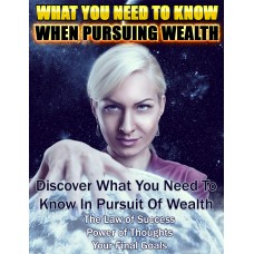 Pursuing Wealth