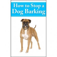 How To Stop Dog Barking