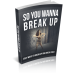 So You Wanna Break Up