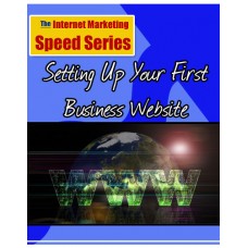  Setting Up Your First Business Website