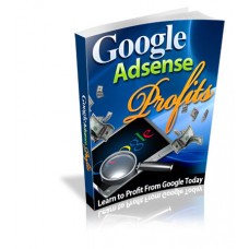 Google AdSense Profits