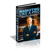Marketing Like a Pro