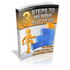 3 Steps To Newbie Success