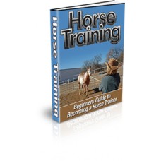 Beginner s Guide to Horse Training