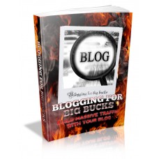 Blogging For Big Bucks