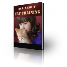 Cat Training Report
