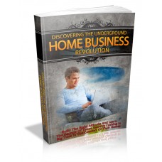 Discovering The Underground Home Business Revolution