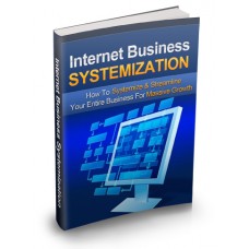 Internet Business Systemization