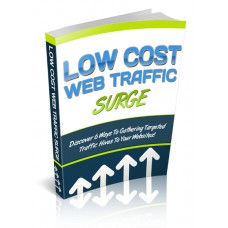 Low Cost Web Traffic Surge