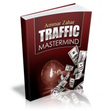 Traffic Mastermind